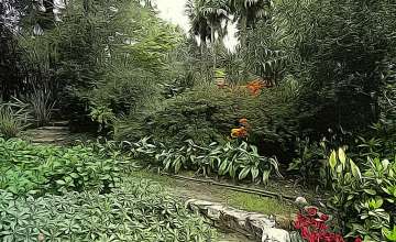 Botanical Heller Garden